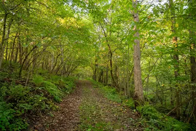 32979 County Road 1, La Crescent, MN 55947 - Photo 83