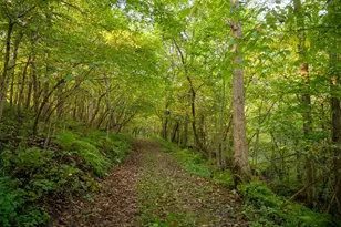 32979 County Rd 1, La Crescent, MN 55947 - Photo 83