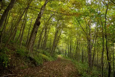 32979 County Road 1, La Crescent, MN 55947 - Photo 87