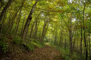 32979 County Rd 1, La Crescent, MN 55947 - Photo 87