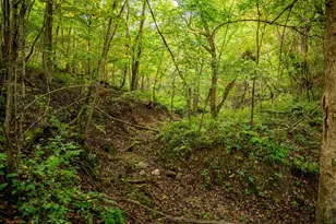 32979 County Rd 1, La Crescent, MN 55947 - Photo 85