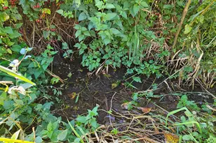 15531 County 21, Canton, MN 55922 - Photo 19