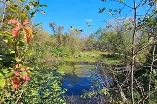15531 County 21, Canton, MN 55922 - Photo 21