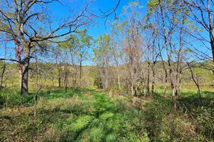 15531 County 21, Canton, MN 55922 - Photo 17