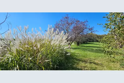 15531 County 21, Canton, MN 55922 - Photo 5