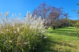 15531 County 21, Canton, MN 55922 - Photo 5