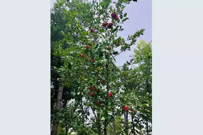 391 1st Avenue SE, Cold Spring, MN 56320 - Photo 43