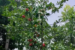 391 1st Ave SE, Cold Spring, MN 56320 - Photo 43