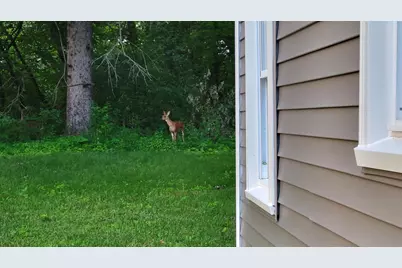 543 Homestead Trail, Somerset, WI 54025 - Photo 11