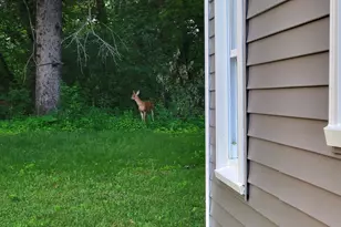 543 Homestead Trail, Somerset, WI 54025 - Photo 11