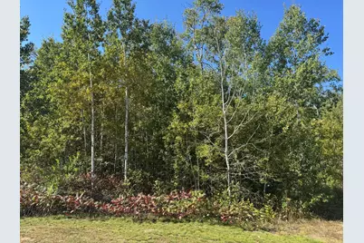 Tbd 377th Street, Perham, MN 56573 - Photo 7