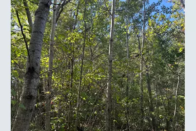 Tbd 377th Street, Perham, MN 56573 - Photo 9