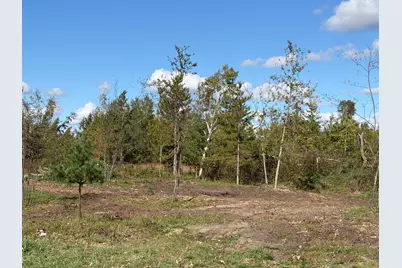 Tbd Moonlight Lane SW, Bemidji, MN 56601 - Photo 7