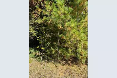 Tbd Moonlight Lane SW, Bemidji, MN 56601 - Photo 5