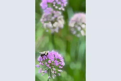 328 13th Ave NE, Minneapolis, MN 55413 - Photo 29