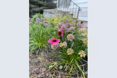 328 13th Ave NE, Minneapolis, MN 55413 - Photo 31