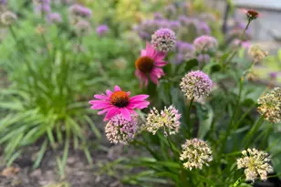 328 13th Ave NE, Minneapolis, MN 55413 - Photo 31