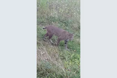 W10415 521st Avenue, Prescott, WI 54021 - Photo 81