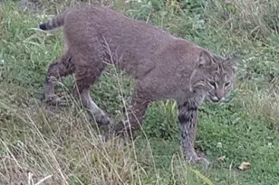 W10415 521st Ave, Prescott, WI 54021 - Photo 81