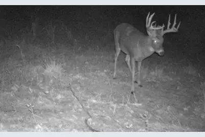 W10415 521st Avenue, Prescott, WI 54021 - Photo 79