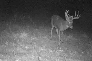 W10415 521st Ave, Prescott, WI 54021 - Photo 79