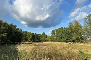 23304 State Hwy 29, Henning, MN 56551 - Photo 55