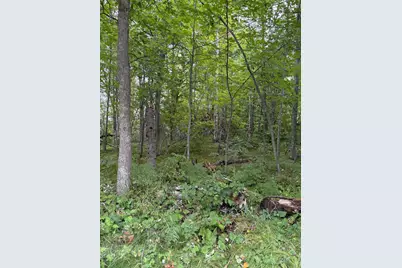 Tbd Lots 111 & 112 Terminal Road, Breezy Point, MN 56472 - Photo 3