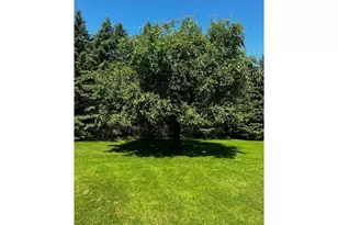 4095 125th St SE, Granite Falls, MN 56241 - Photo 69