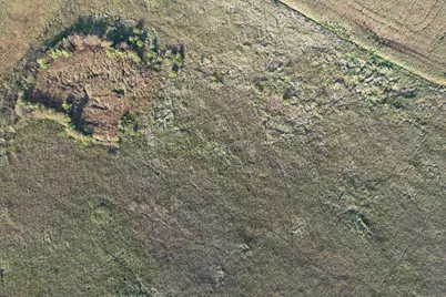 Tbd 340th Street, Ogema, MN 56569 - Photo 19