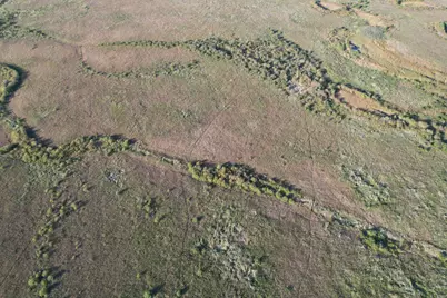 Tbd 340th Street, Ogema, MN 56569 - Photo 11