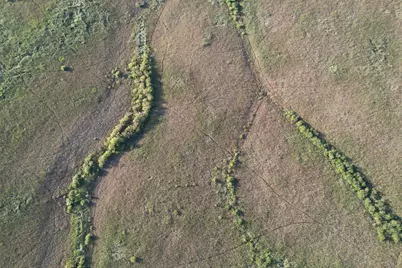 Tbd 340th Street, Ogema, MN 56569 - Photo 15