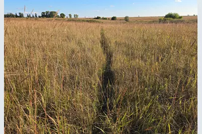 Tbd 340th Street, Ogema, MN 56569 - Photo 75