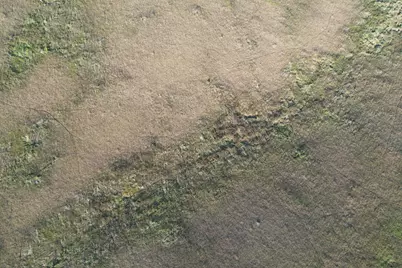 Tbd 340th Street, Ogema, MN 56569 - Photo 17