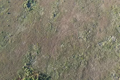 Tbd 340th Street, Ogema, MN 56569 - Photo 9