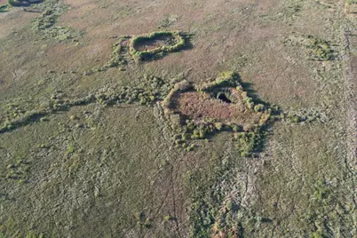 Tbd 340th Street, Ogema, MN 56569 - Photo 5