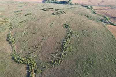 Tbd 340th Street, Ogema, MN 56569 - Photo 33