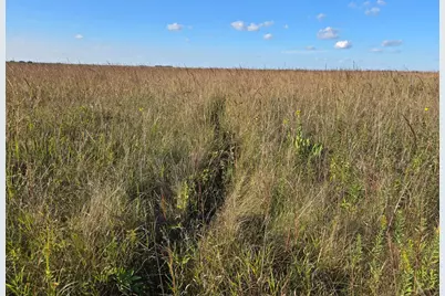 Tbd 340th Street, Ogema, MN 56569 - Photo 51