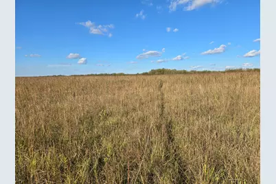 Tbd 340th Street, Ogema, MN 56569 - Photo 55