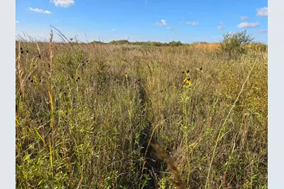 Tbd 340th Street, Ogema, MN 56569 - Photo 43
