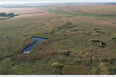 Tbd 340th Street, Ogema, MN 56569 - Photo 39