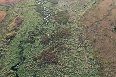 Tbd 340th Street, Ogema, MN 56569 - Photo 29