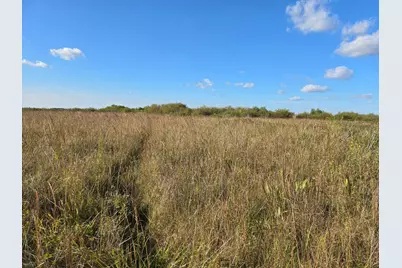 Tbd 340th Street, Ogema, MN 56569 - Photo 45