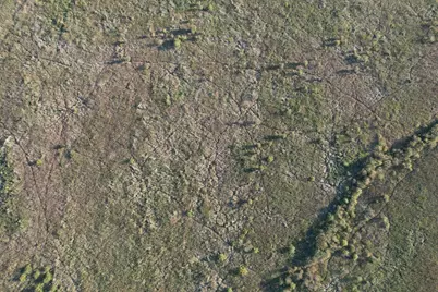 Tbd 340th Street, Ogema, MN 56569 - Photo 37