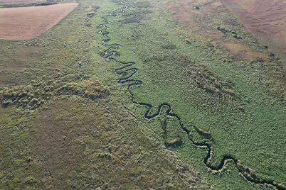 Tbd 340th Street, Ogema, MN 56569 - Photo 25