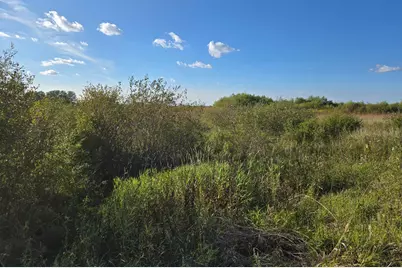 Tbd 340th Street, Ogema, MN 56569 - Photo 47