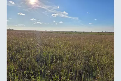 Tbd 340th Street, Ogema, MN 56569 - Photo 61