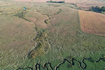 Tbd 340th Street, Ogema, MN 56569 - Photo 31