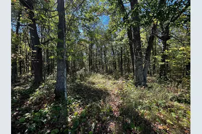 Tbd County Road 2, Brainerd, MN 56401 - Photo 5