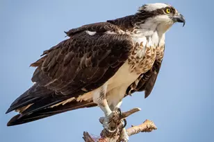 30169 513th Ave, Ottertail, MN 56571 - Photo 27