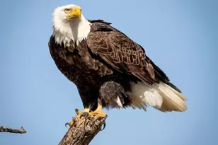 30169 513th Ave, Ottertail, MN 56571 - Photo 29